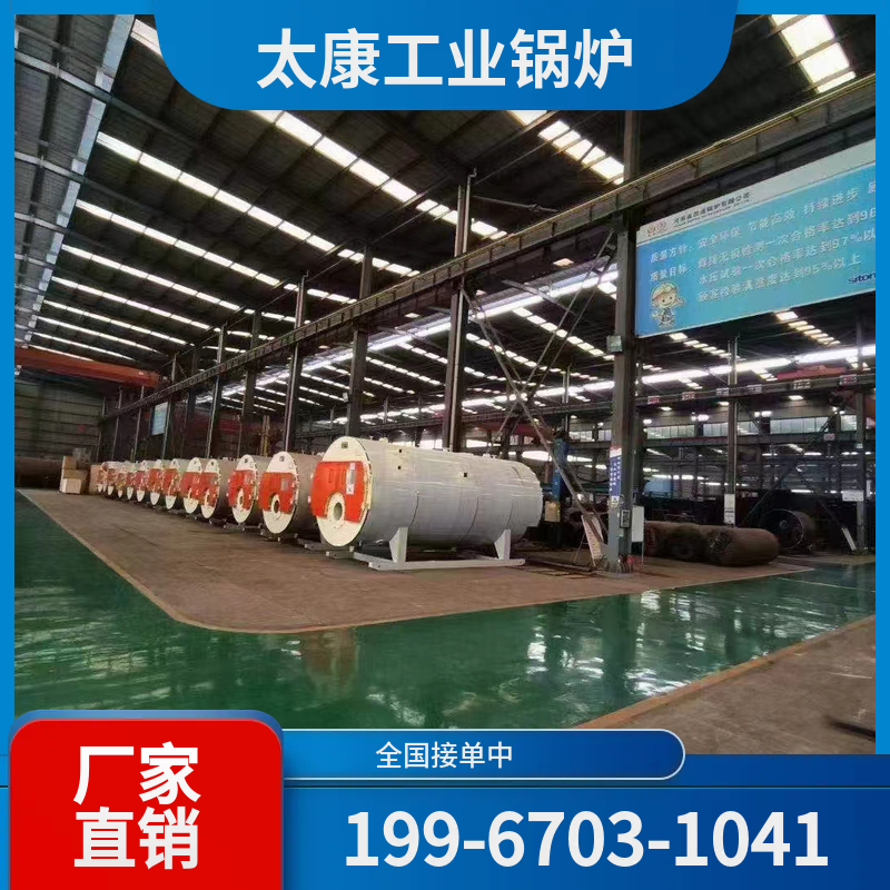 河池生物质导热油锅炉
